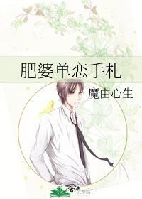 肥婆单恋手札封面