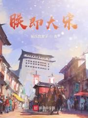 朕即大宋封面