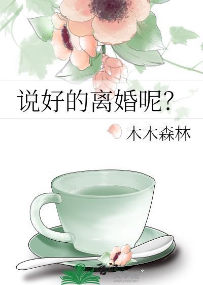 说好的离婚呢？封面