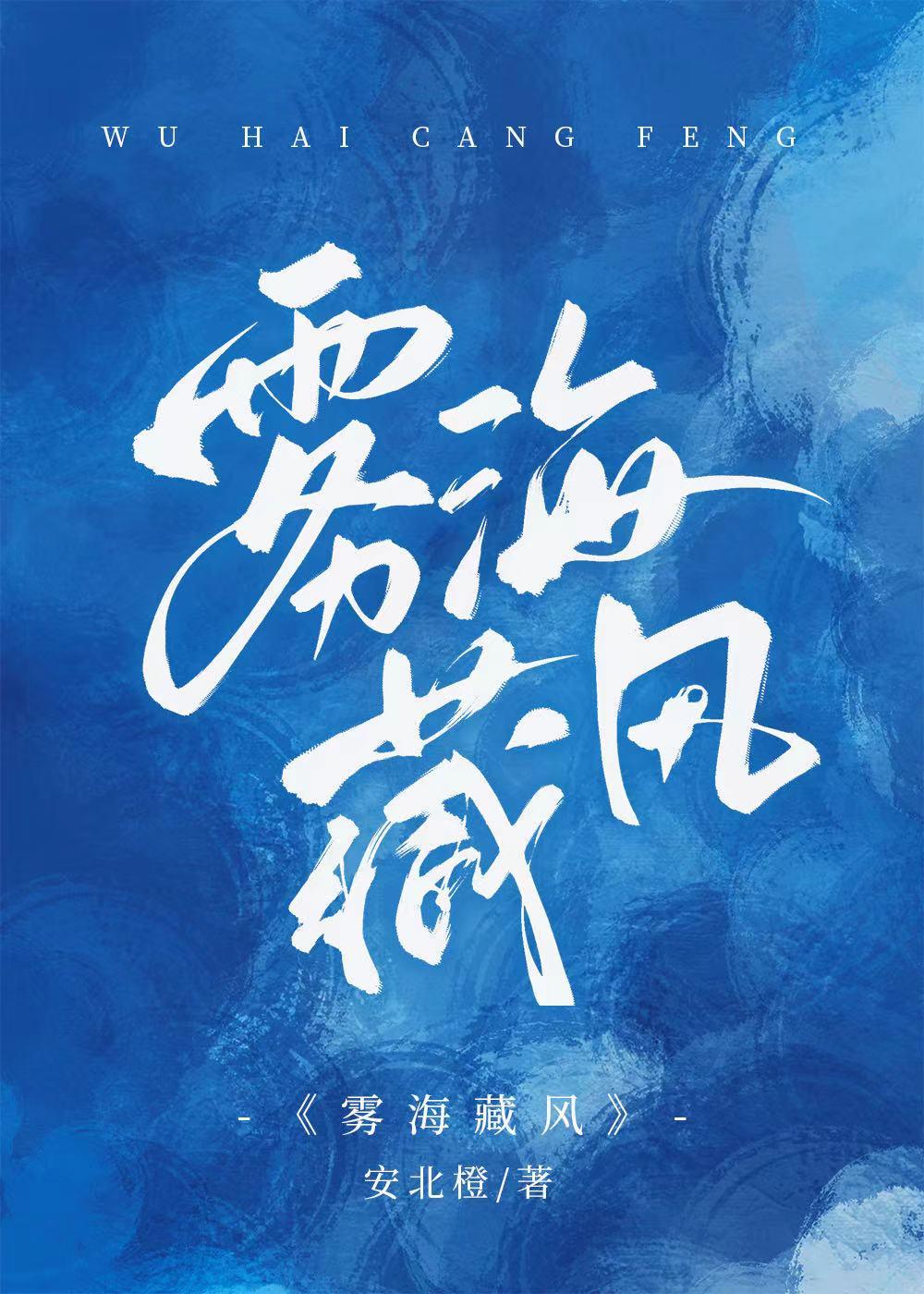 雾海藏风封面