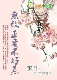 穿越:无敌正妻不好惹封面