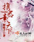 携君素天下封面