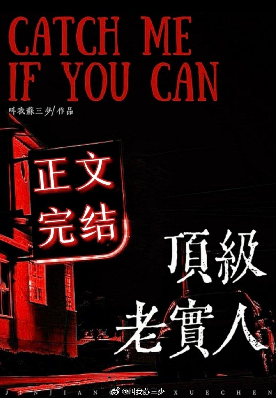 老实人，但玛丽苏封面