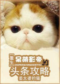 [重生]呆萌影帝的头条攻略封面