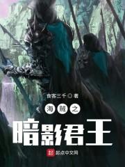 海贼之暗影君王封面
