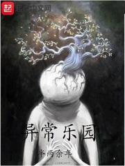 异常乐园封面