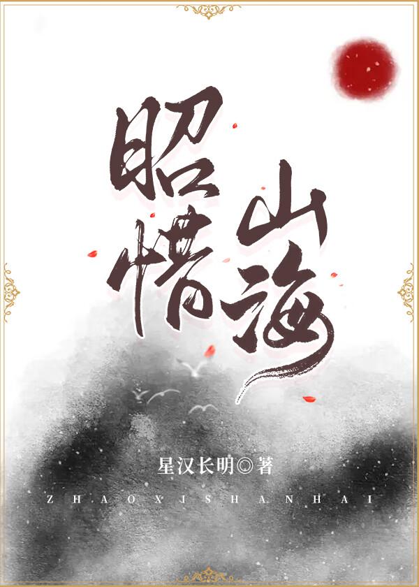昭惜山海封面