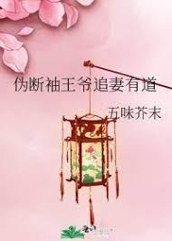 伪断袖王爷追妻有道封面