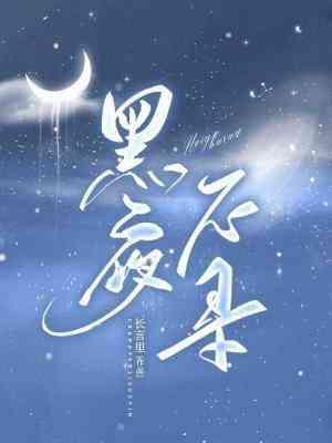 黑夜不寻封面