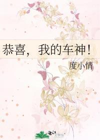 恭喜，我的车神！封面