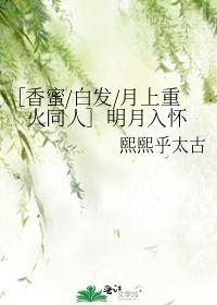 ［香蜜白发月上重火同人］明月入怀封面