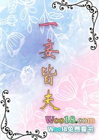 一妾皆夫(np)封面
