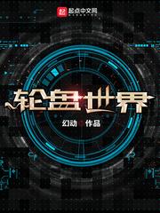 轮盘世界封面