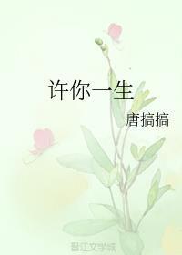 许你一生封面