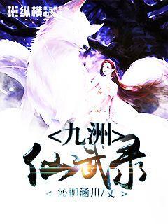 九洲仙武录封面