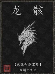 龙骸封面