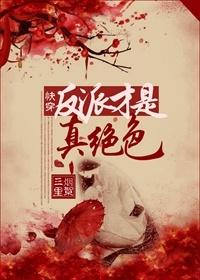 快穿反派才是真绝色封面