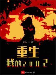 重生我的2002封面