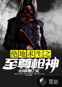 绝地求生之至尊枪神封面