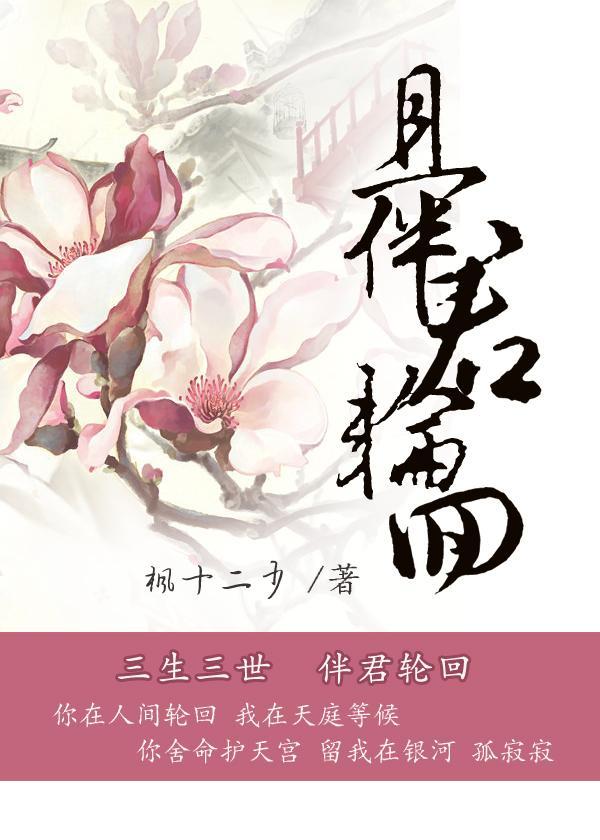 且伴君轮回封面