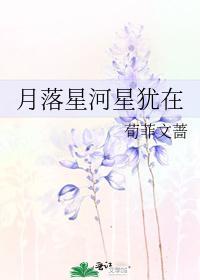 月落星河星犹在封面