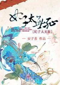 妃子太无耻封面