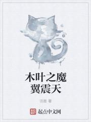 木叶之魔翼震天封面