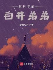 某科学的白井弟弟封面