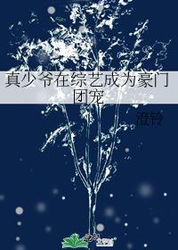 真少爷在综艺成为豪门团宠封面