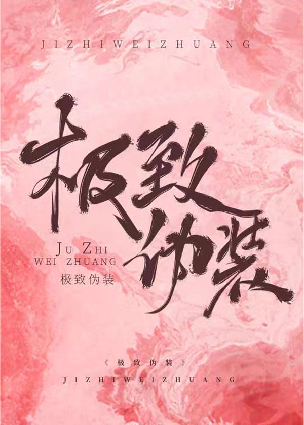 极致伪装封面