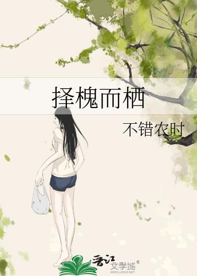 择槐而栖封面