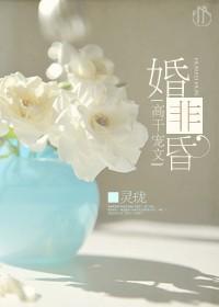 婚非昏封面