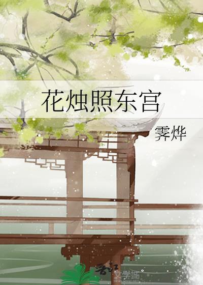花烛照东宫封面