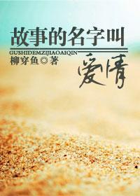 故事的名字叫爱情封面