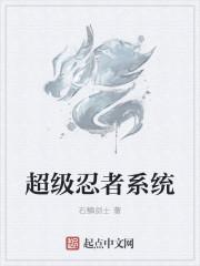 超级忍者系统封面