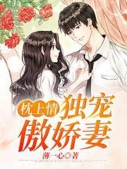 枕上情，独宠傲娇妻封面