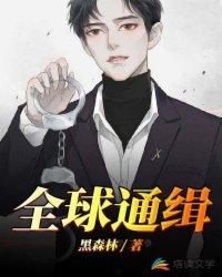 全球通缉封面