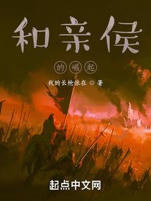 和亲侯的崛起封面