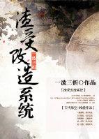 渣受改造系统封面