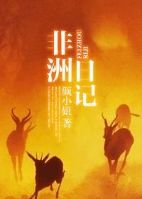 非洲日记封面