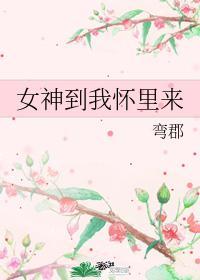 女神到我怀裏来封面