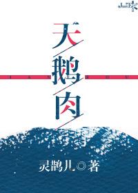 天鹅肉封面