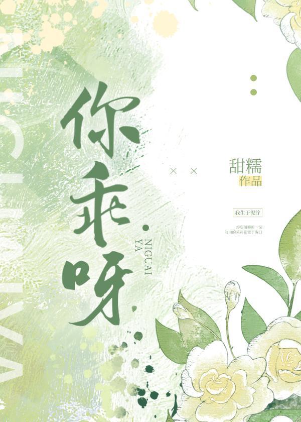 你乖呀封面