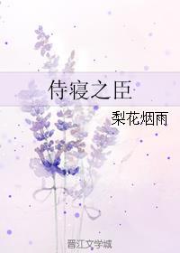 侍寝之臣封面