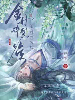 金丹碎裂后封面