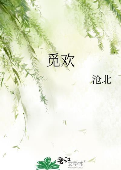 觅欢封面