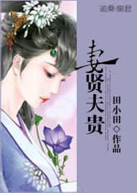 妻贤夫贵封面