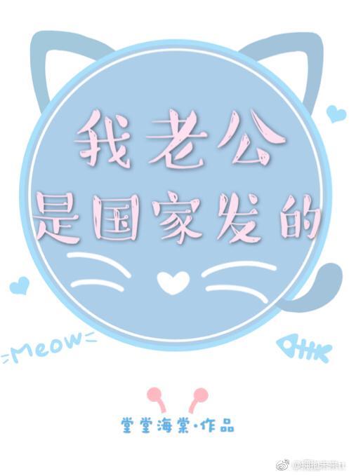 我老公是国家发的封面