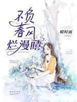 不负春风烂漫晴封面
