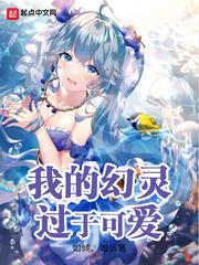 我的幻灵过于可爱封面
